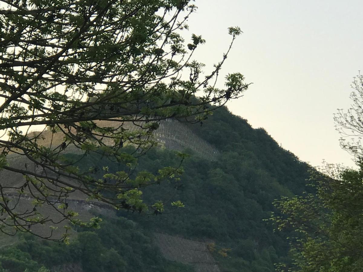 Gaestezimmer Klein Und Fein Fuer Nach Dem Wein Neumagen-Dhron Ngoại thất bức ảnh